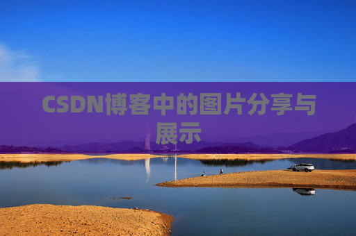 CSDN博客中的图片分享与展示